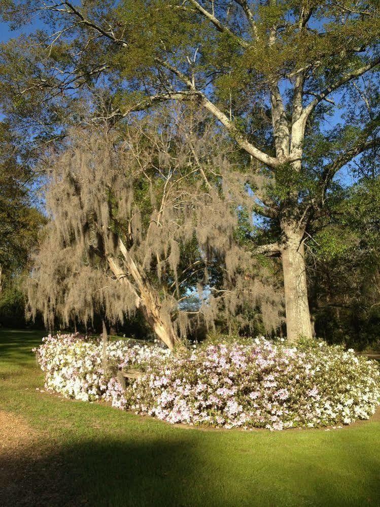 Monmouth Historic Inn Natchez Dış mekan fotoğraf